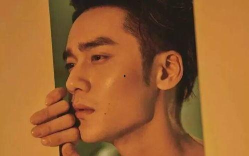 娱乐热门吃瓜事件视频,揭秘热门吃瓜事件幕后真相